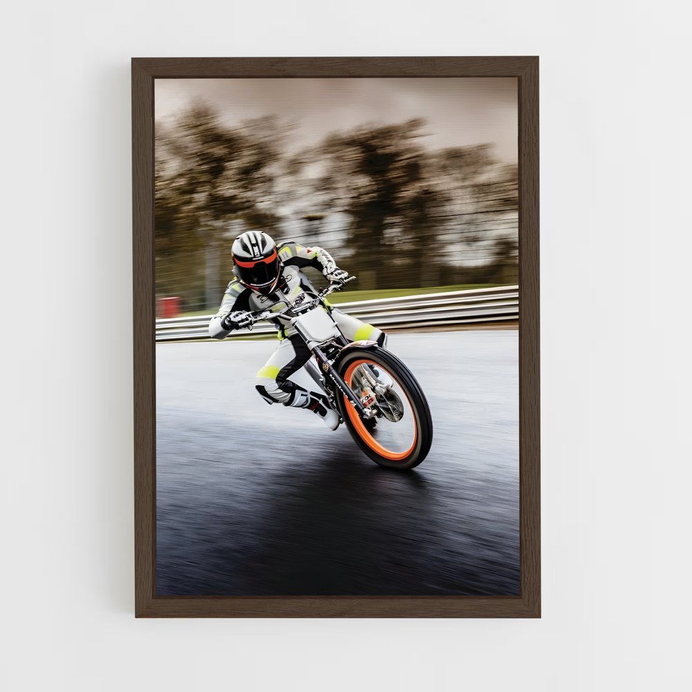 Poster Cota rt vibrant (vue 5)